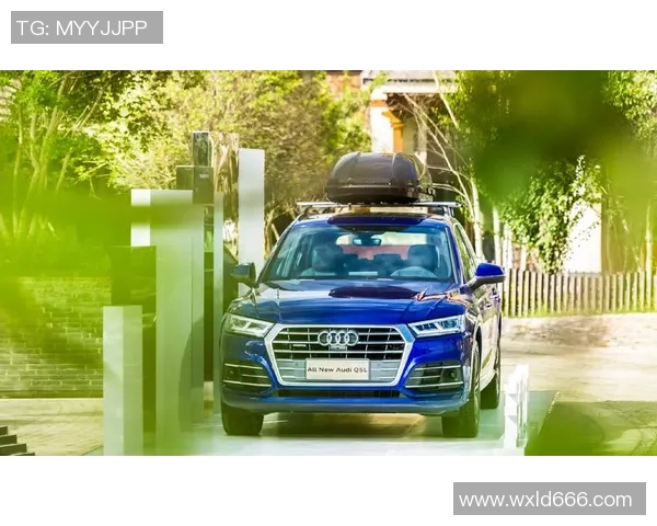 汽车与比赛视频下载的完美结合探索与体验之旅