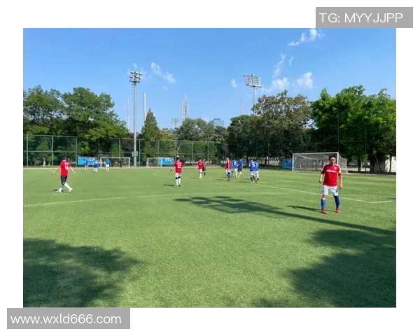 广州乒乓球队区域防守战术解析与实战应用探讨MBA