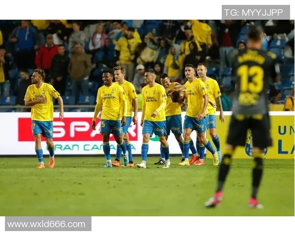 斯帕尔与都灵对决前瞻分析及比赛结果预测