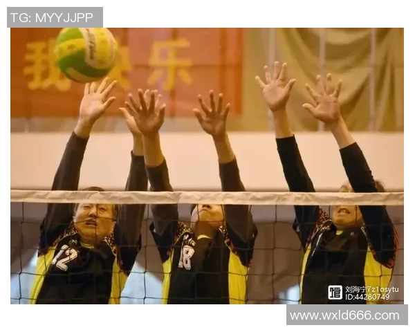 聚焦排球：深入探讨上海排球队的团队意识与文化建设MBA