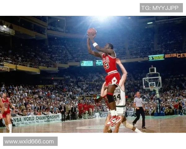 篮球明星复姓的传奇故事与他们的辉煌成就探讨