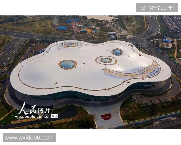 南京极限运动队：个人能力变革引发的热议与挑战