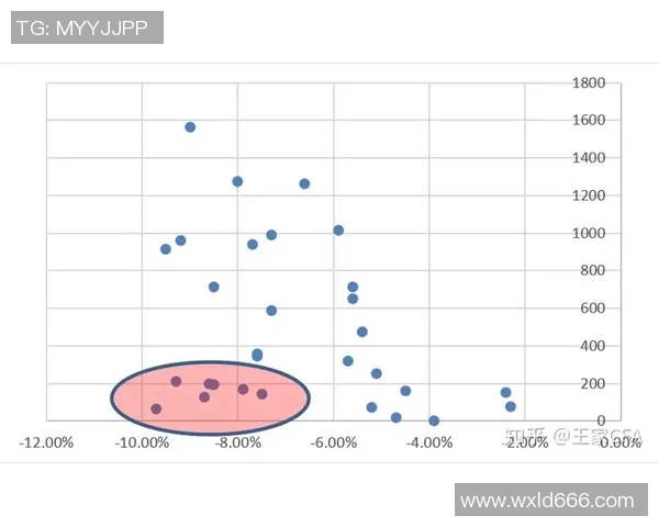武汉排球队实力飙升创历史新高引发全国关注与期待