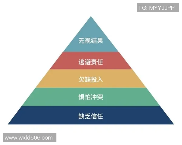 青年赛分析：WE团队协作的亮点与不足之处探讨